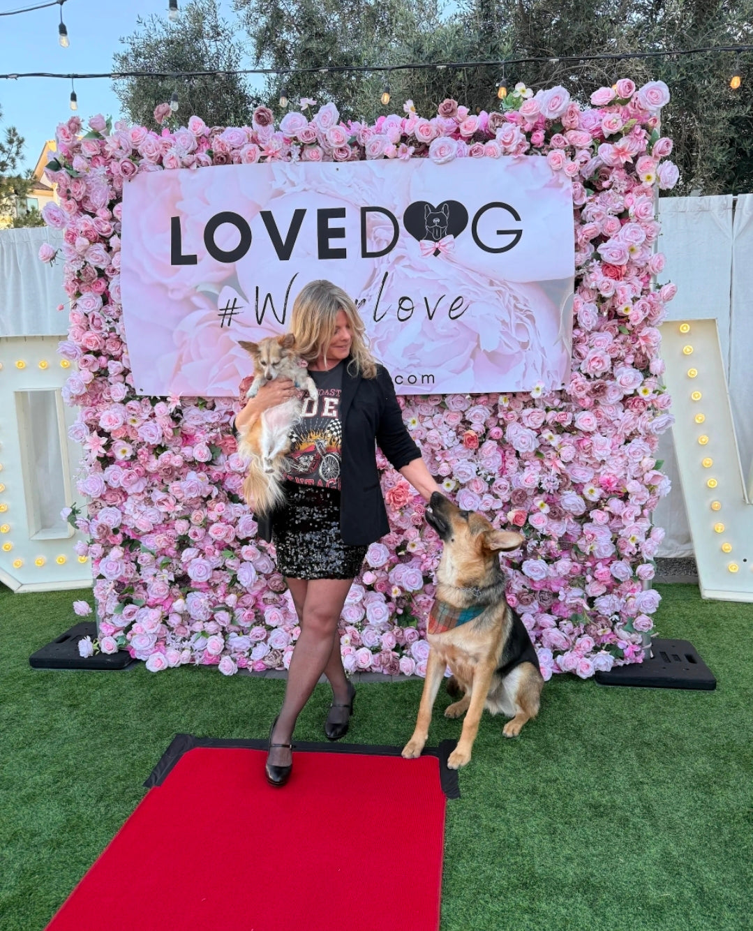 The LOVEDOG Runway Where Fashion & Rescue Meet