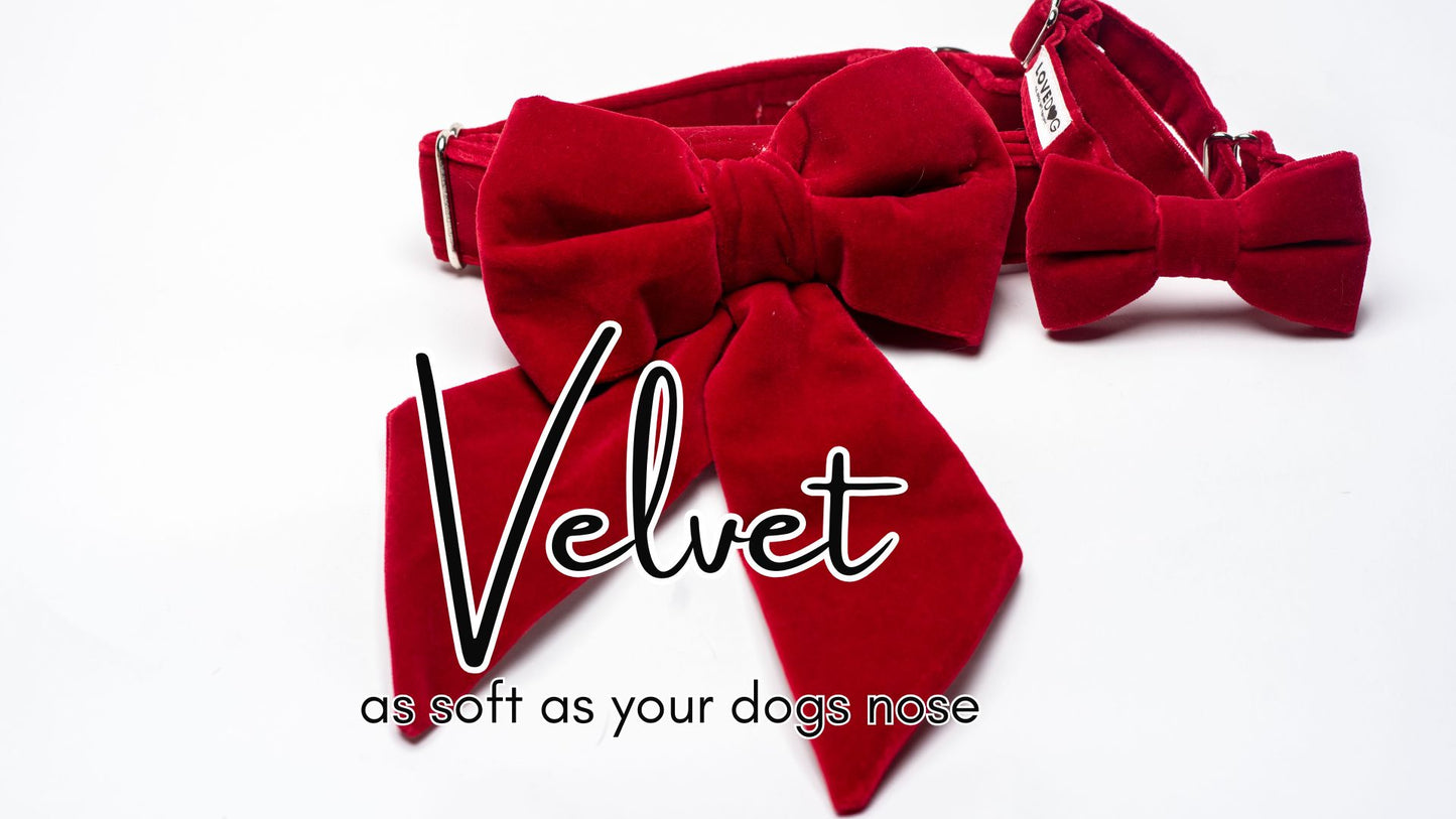 Red Velvet Snap-Girl-Bow Collar