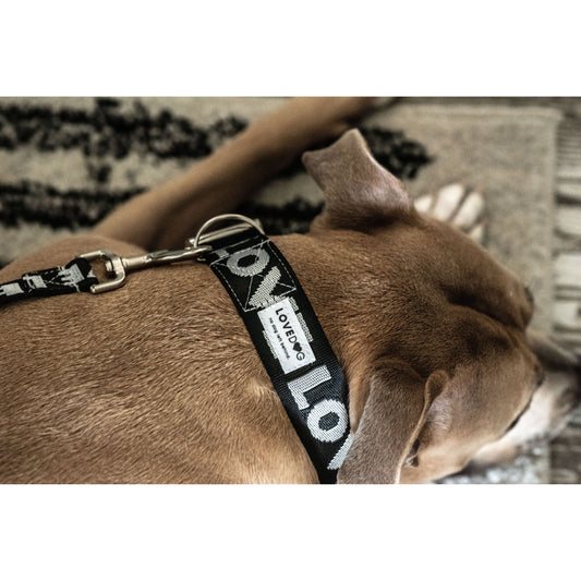 Luxury Handmade "Love" Dog Collar & Leash set