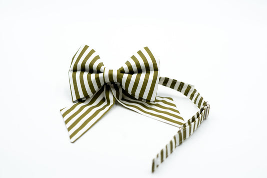 Mossy Stripe Girlbow Snap-Collar