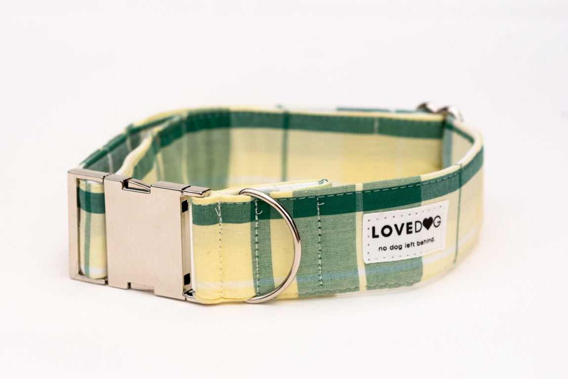 Fat Sunday Morning Dog Collar - lovedog