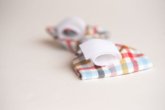 Carnival Ride Plaid Bowtie - lovedog