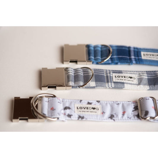 Southern Gentleman Fat Collar - lovedog