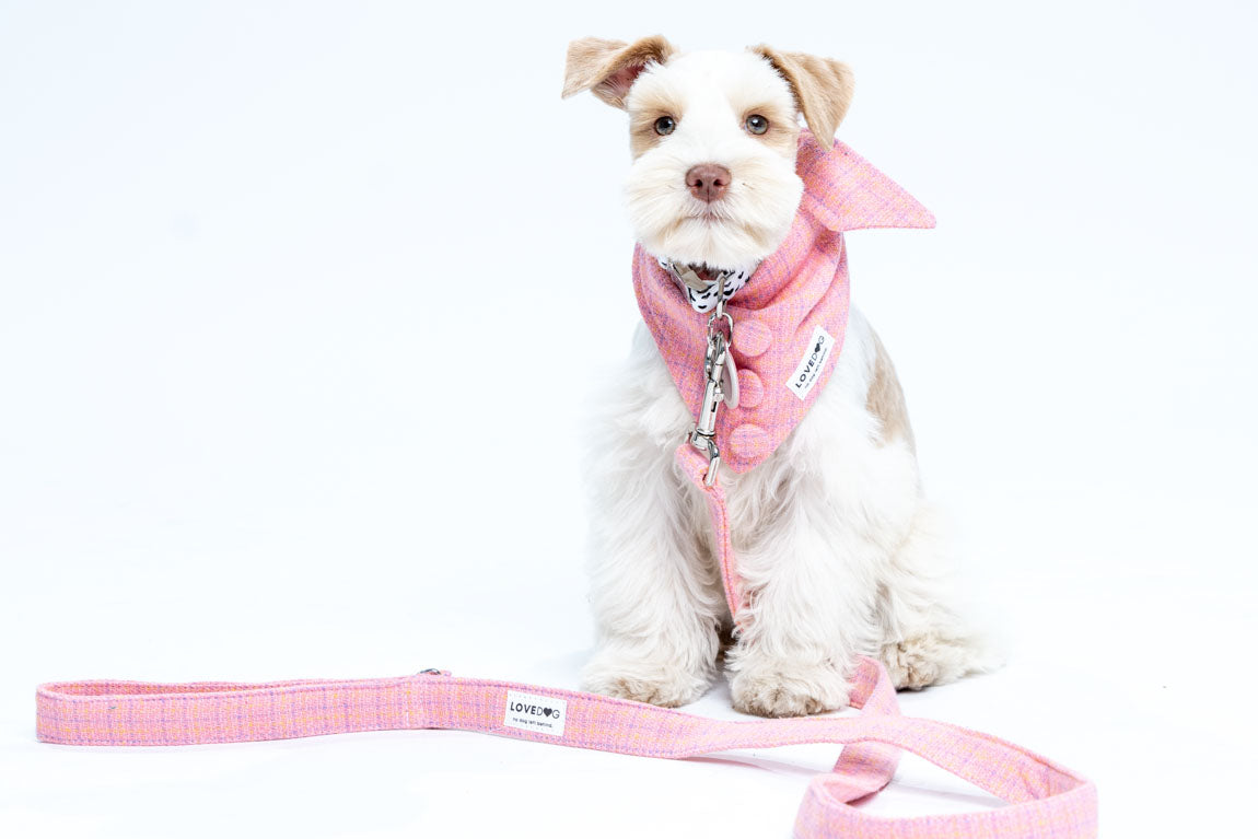 Chanel-Inspired Pink Peplum Dog Collar
