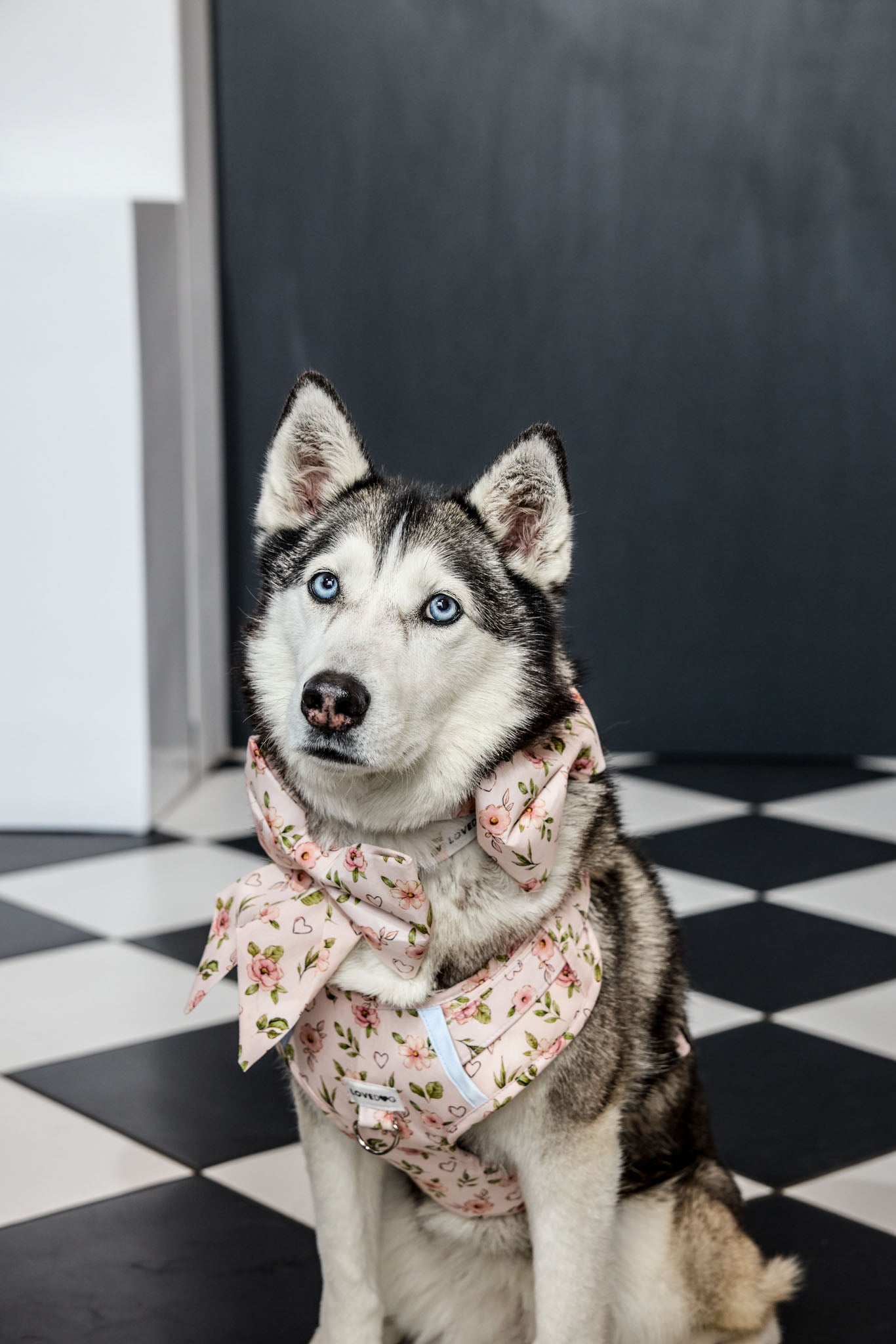 Rosie Blooms Boybow Snap-Collar