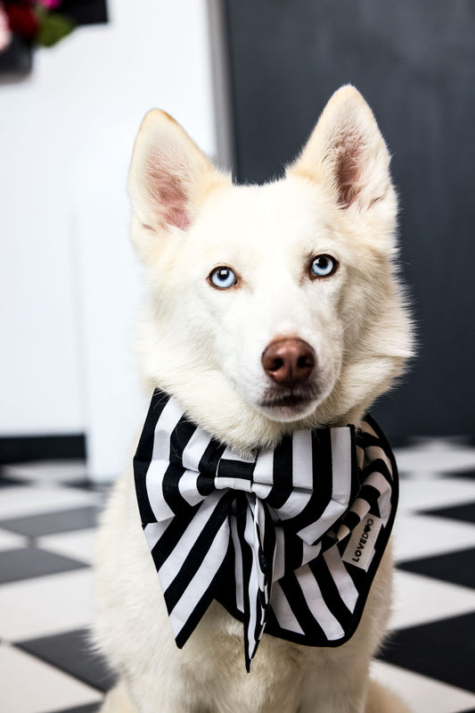 The Signature Classic Dog Harness