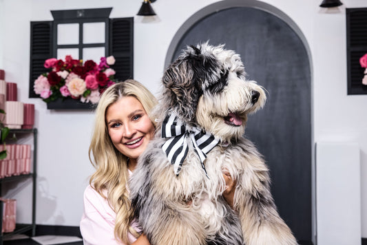 The Signature Classic Boybow Snap-Collar