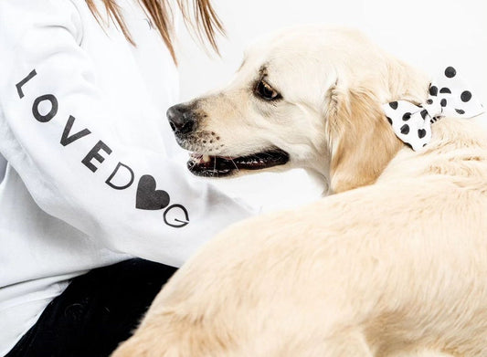 Large polka dots bowtie