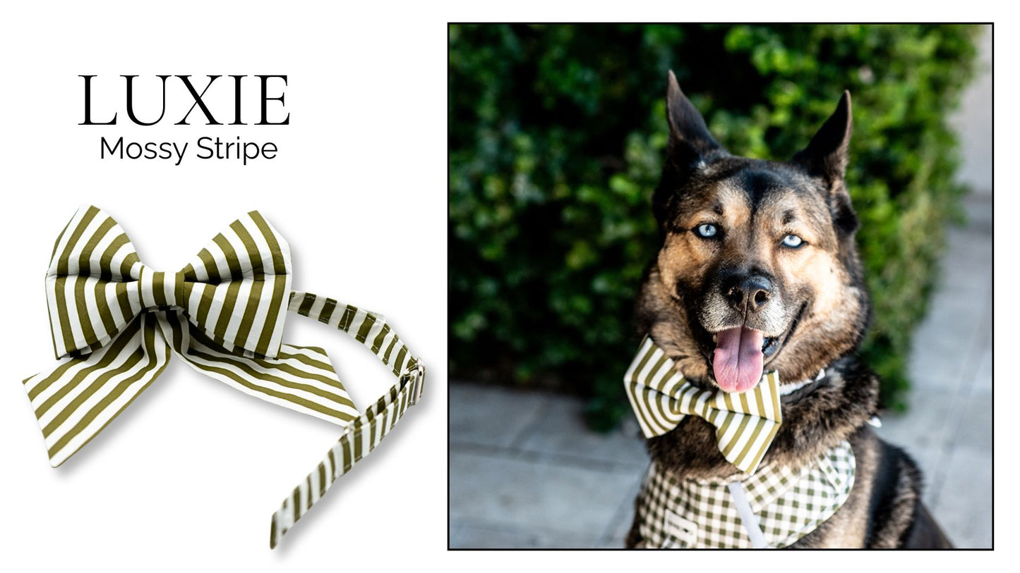Mossy Stripe Girlbow