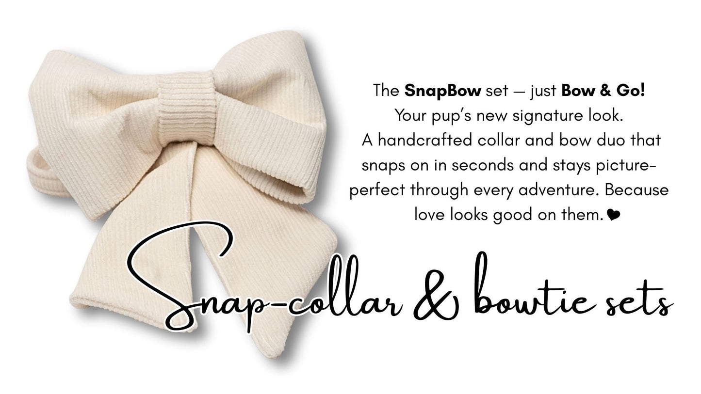 Nutmeg & Cream SnapBow Boy Collar