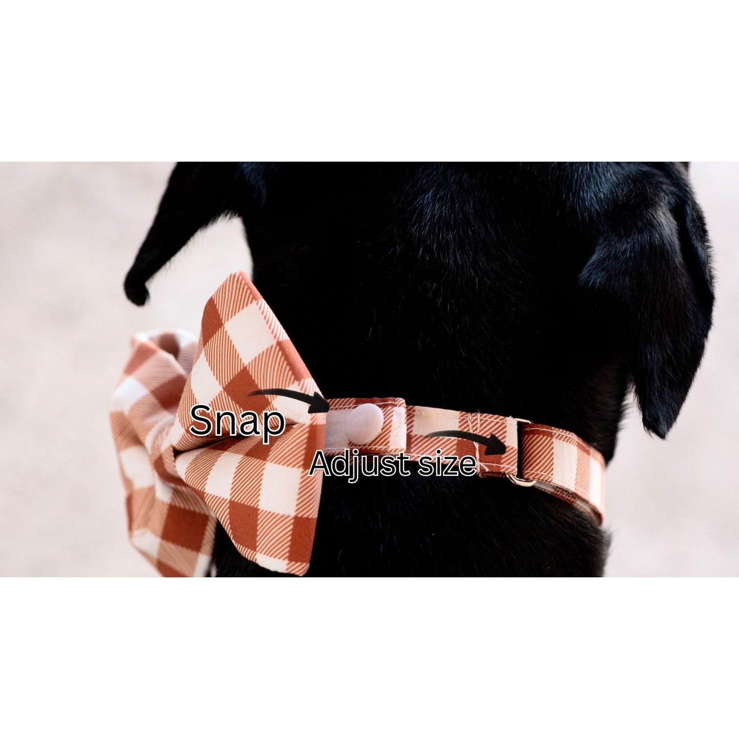 Nutmeg & Cream Stripes Boy Snap-Bow Collar