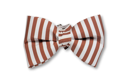 Nutmeg & Cream Stripes Boy Snap-Bow Collar