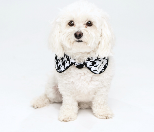 Peplum Collar in Vintage Houndstooth - lovedog