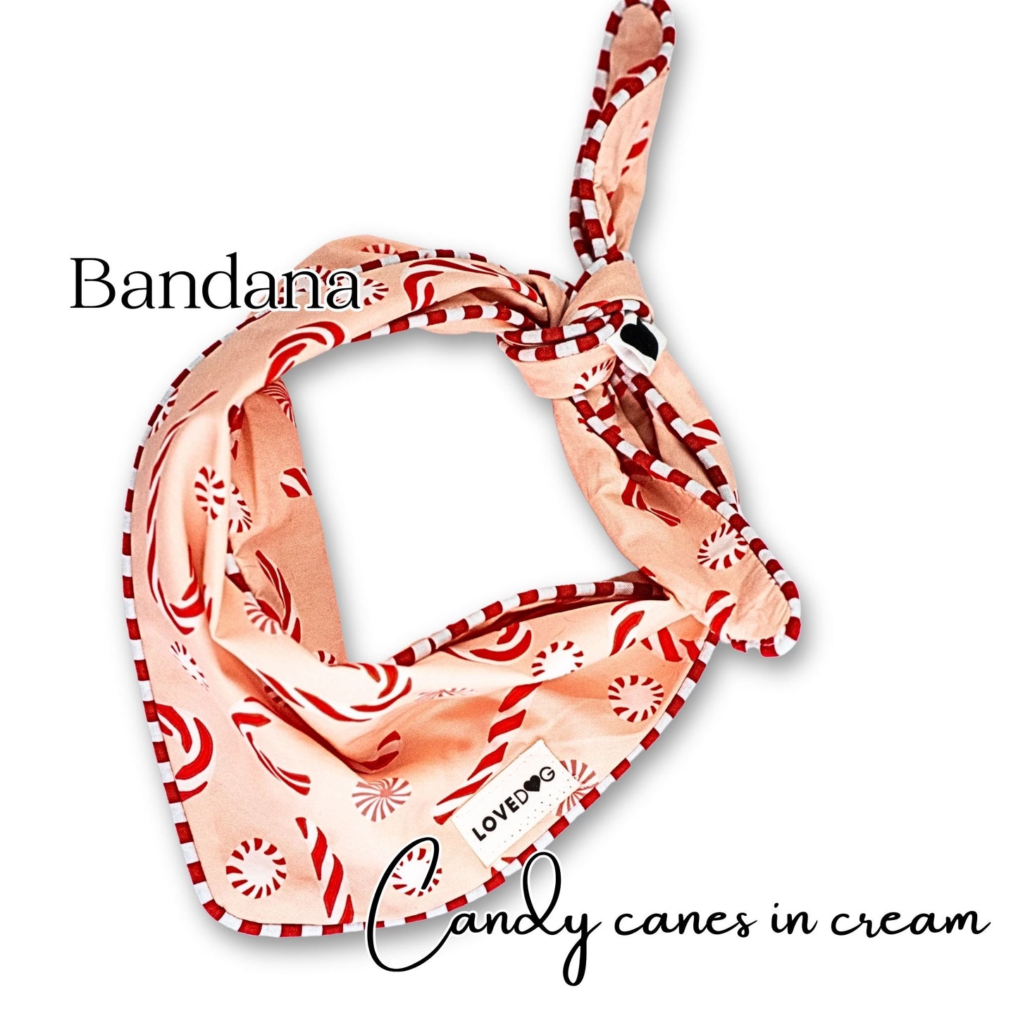 Bandana Candy Canes in Cream