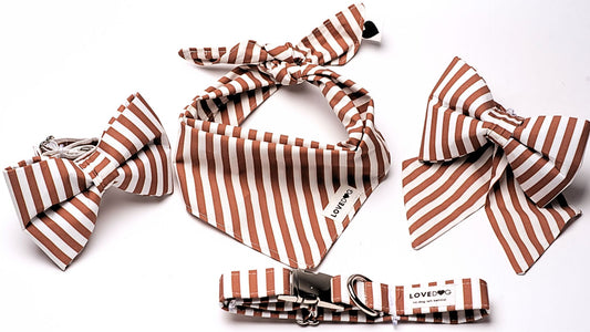 Nutmeg & Stripes Collar