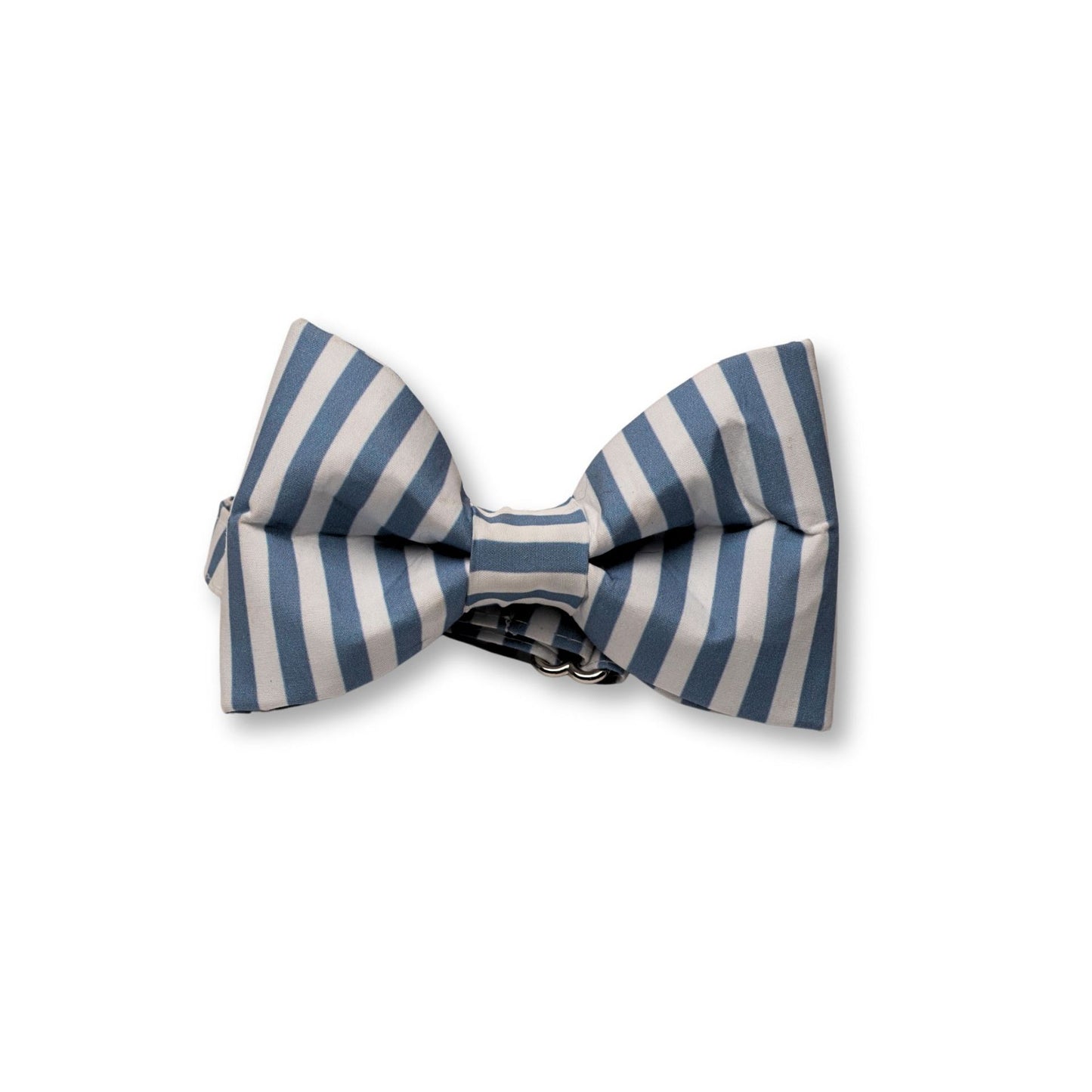 Boy Dog SnapBow Collar
