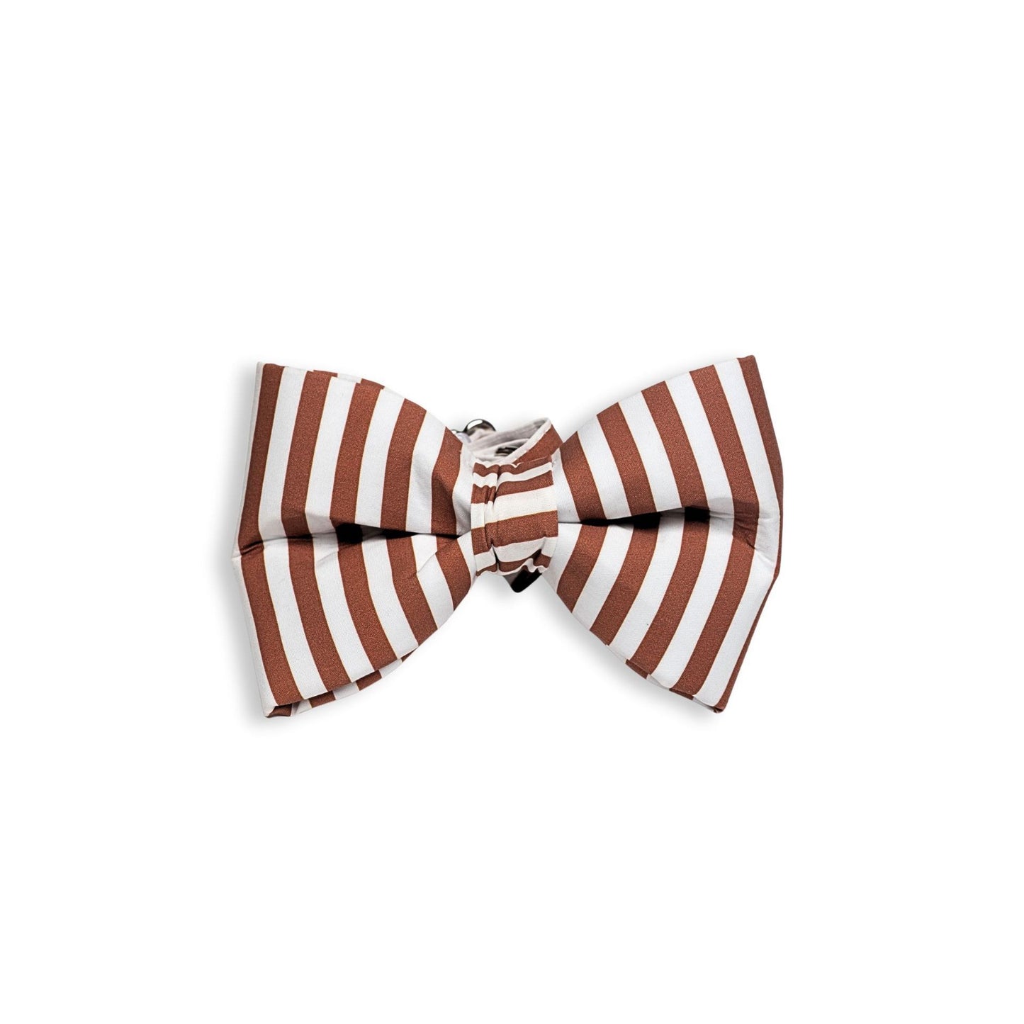Boy SnapBow Collar in nutmeg & Cream