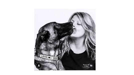 How To Choose A Luxury Dog Collar
