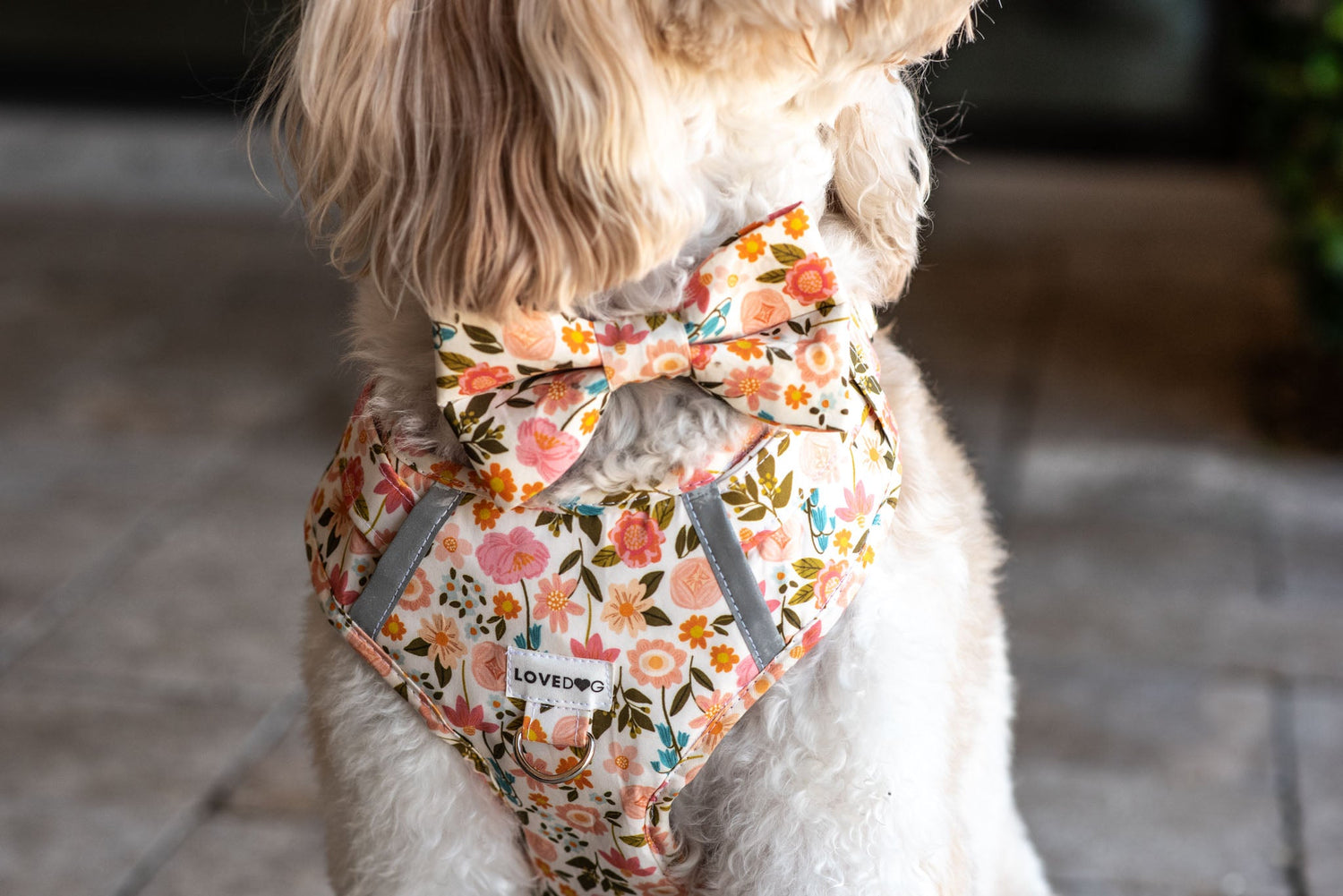 Harnesses
