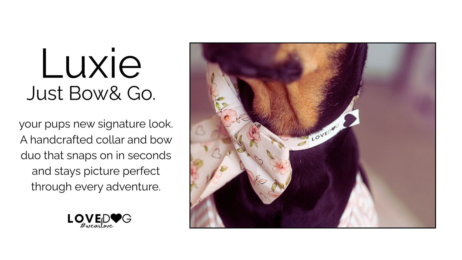 The Luxie