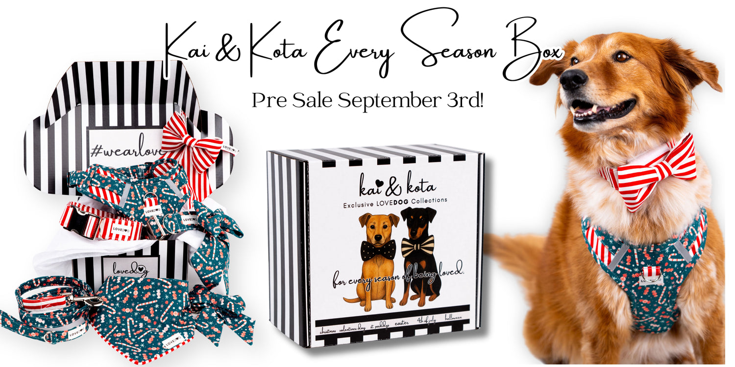 Every Season Subscription boxes
