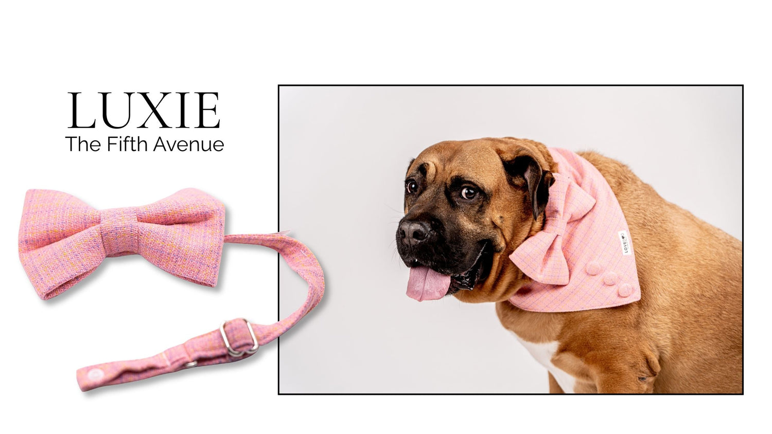 Pink Chanel like Dog CollarThe Pink Chanel-Inspired Dog Collection – Luxury for Your Best Friend 