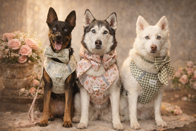 The Heirloom Collection