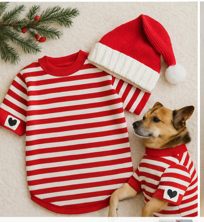 Heart On Your Sleeve Dog Shirt -Matching Human Beanie and Dog Toy Set