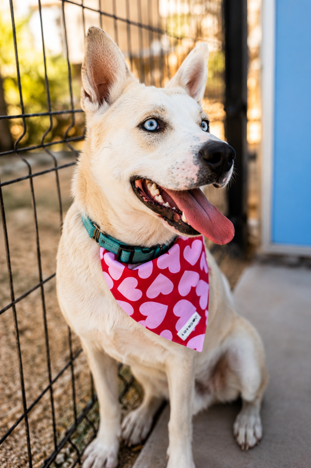 Heart Of Rescue Bandana