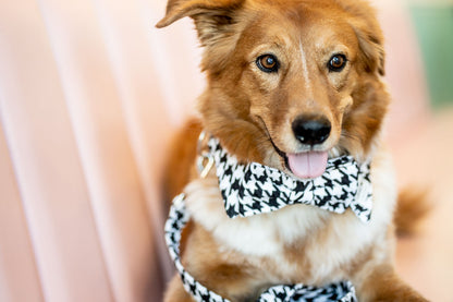 LOVEDOG Vintage B&W Houndstooth Wide Luxe Dog Collar – Chanel-Inspired Chic