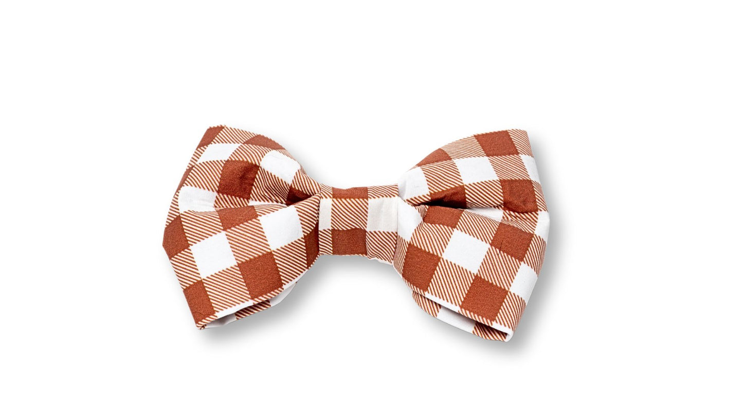 Nutmeg & Cream SnapBow Boy Collar