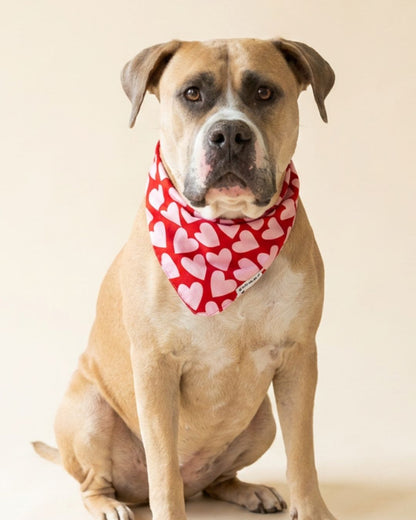 The Rescued Heart Bandana