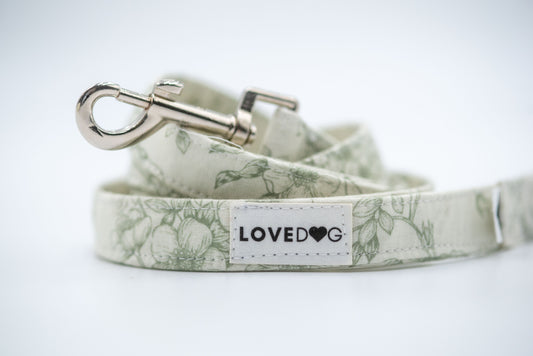 The Clara Dog Leash