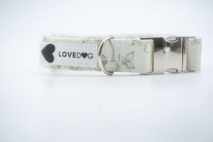 The Clara Dog Collar