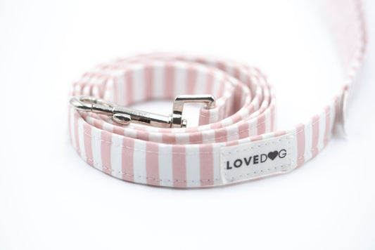 The Blushed Stripe Dog Leash