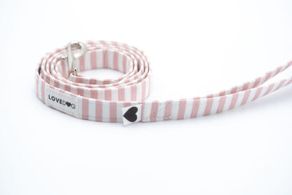 The Blushed Stripe Dog Leash