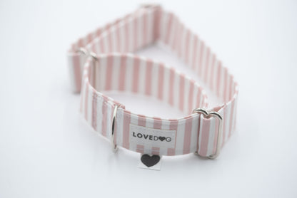 The Blushed Stripe Martingale Dog Collar