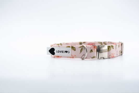 Rosie Blooms Dog Collar