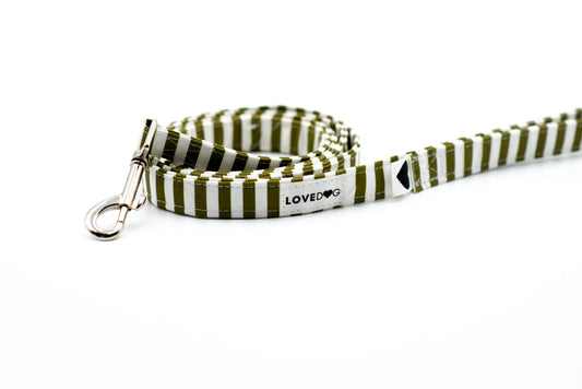 The Mossy Stripe Dog Leash