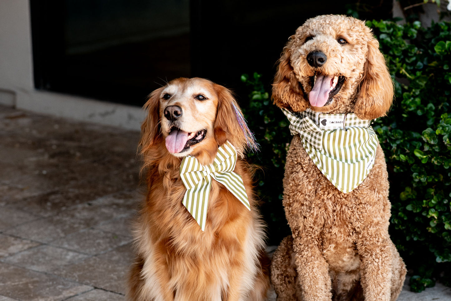 The Classic Walk Set