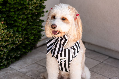 The Signature Classic Dog Harness