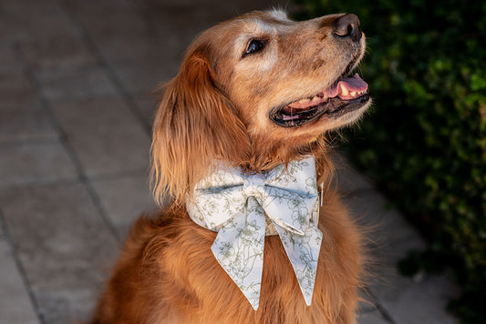The Clara LUXIE Girlbow