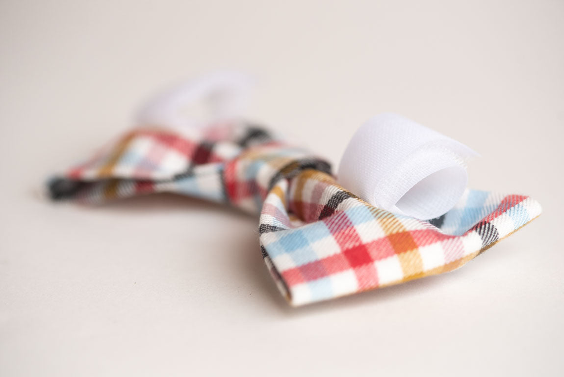 Carnival Ride Plaid Bowtie - lovedog 