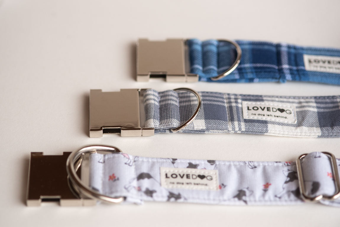 Southern Gentleman Fat Collar - lovedog 