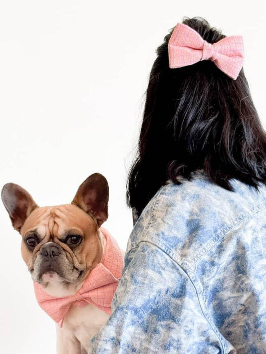 Chanel-Inspired Pink Peter Pan Dog Collar