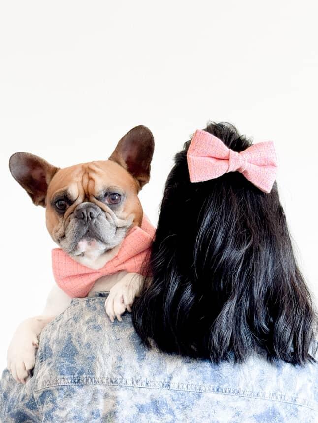 Chanel-Inspired Pink Peter Pan Dog Collar