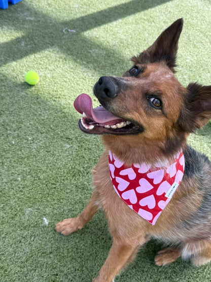 Heart Of Rescue Bandana