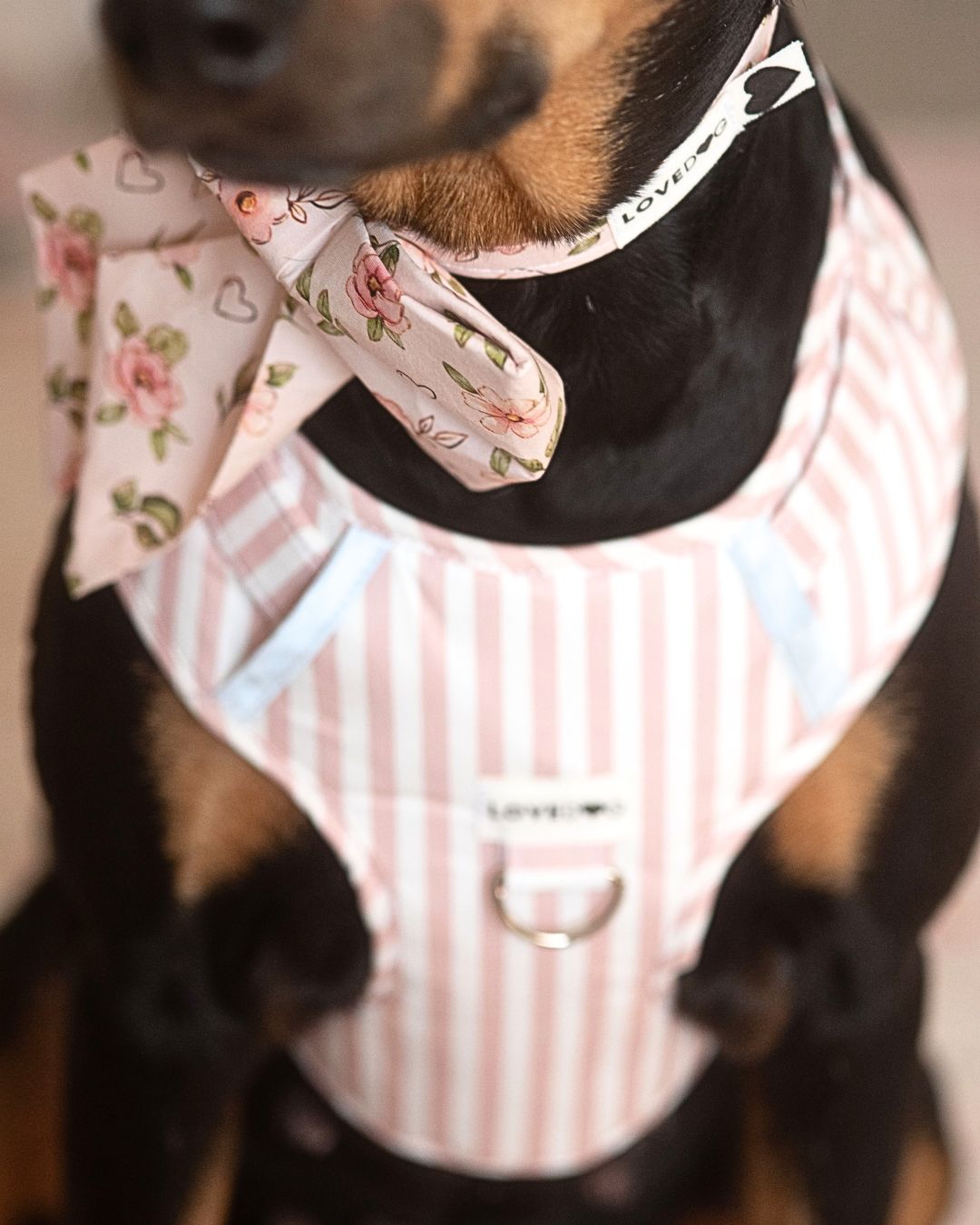 Rosie Blooms LUXIE Girlbow