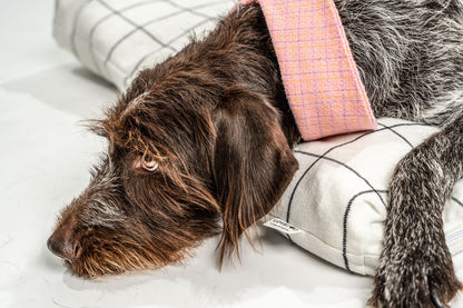 Chanel-Inspired Pink Peplum Dog Collar