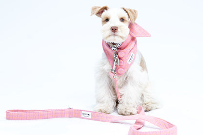 Chanel-Inspired Pink Peplum Dog Collar